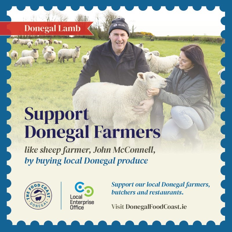  Donegal Lamb Promotion